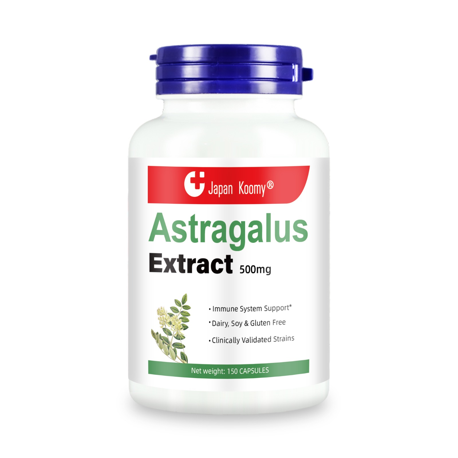 Franceshgrace FSG Astragalus Extract 500mg